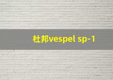 杜邦vespel sp-1